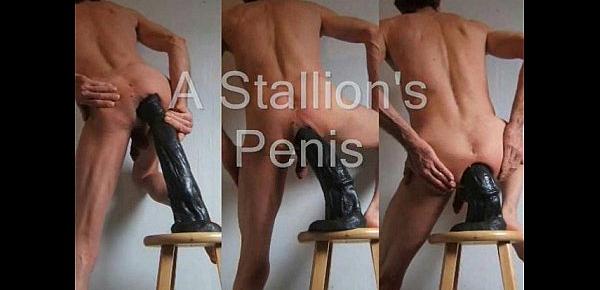  The Black Stallion Horse Penis Anal Fuck, Fist, and Piss Play